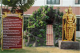 Parvathotsav 14-2-2014