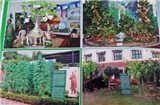 Vanmahotsav - 2016