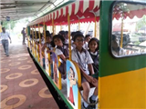 Field Trip